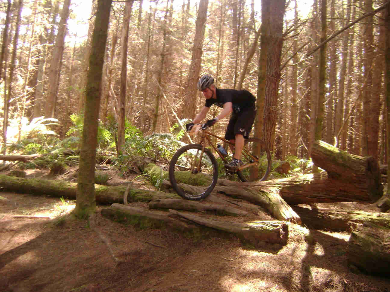 Left side view of a cyclist, riding a Surly bike over a stack of fallen trees, on a dirt trail in the forest